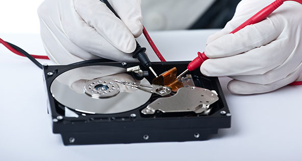 Data Maintenance Services