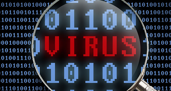 Virus Removal Service